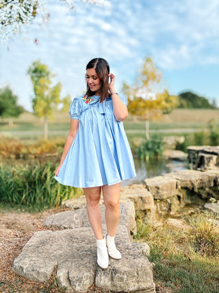 Woman in a light blue mini dress  with floral embroidery standing on rocks with a scenic background