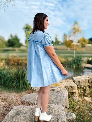 Maddie Dress - Baby Blue Mini Dress with Floral Embroidery