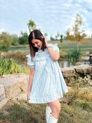 Floral Stripe Peterpan Stitch Dress by Karlie - Light Blue Floral Ruffle Mini Dress