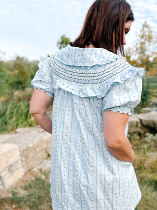 Floral Stripe Peterpan Stitch Dress by Karlie - Light Blue Floral Ruffle Mini Dress